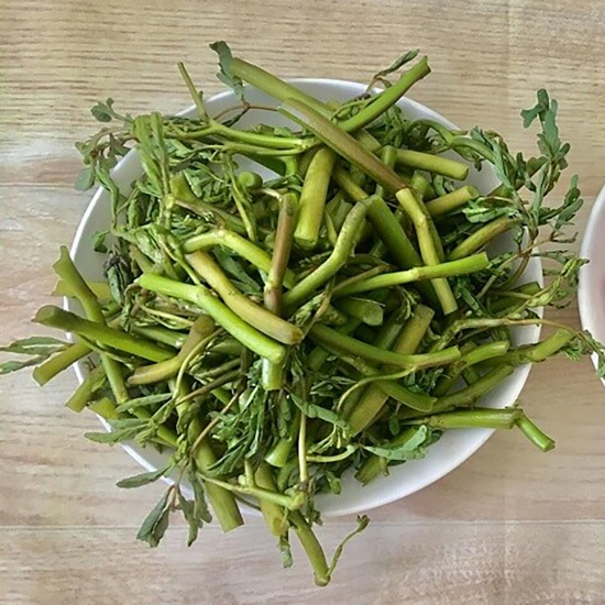 Rau nhút lặt sạch, tươi ngon và an toàn